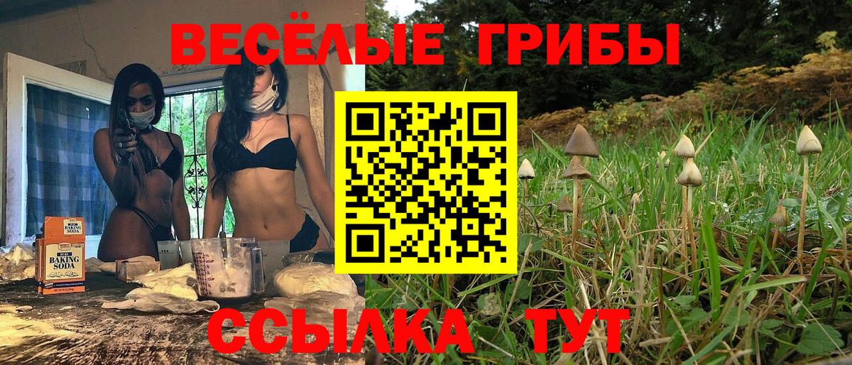 Мурино  Псилоцибиновые грибы Magic Shrooms  Вход с VPN 